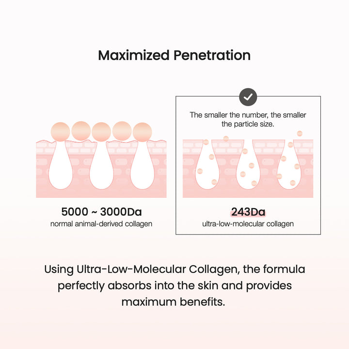 Collagen Ampoule
